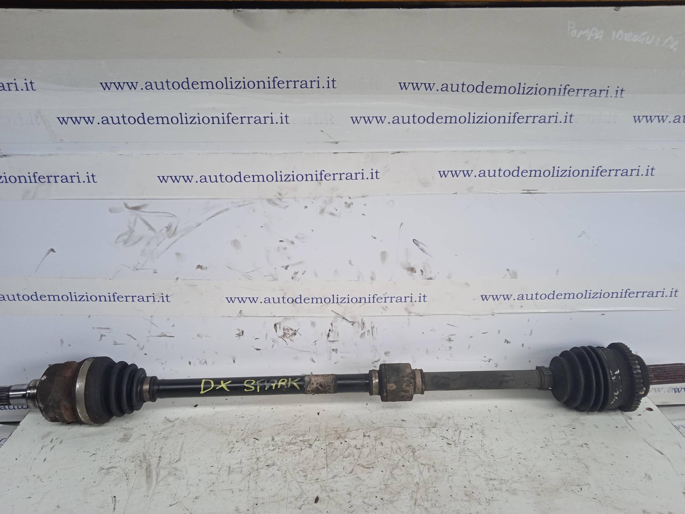 Semialbero ant. compl. dx.